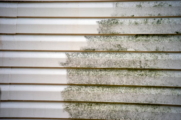 Best Foreclosure Cleanout  in Geneva, IN
